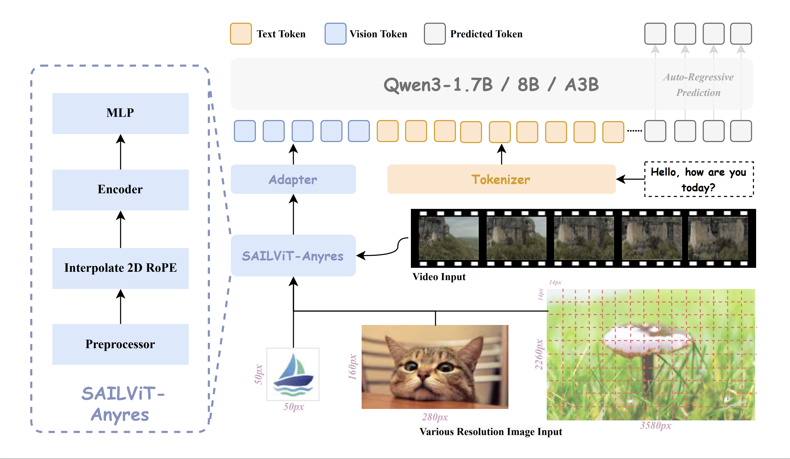 SAIL-VL2 Framework