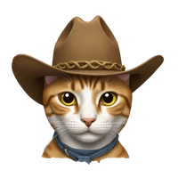 alvis's profile picture
