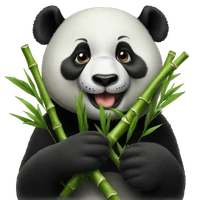 Douglas Jia's profile picture