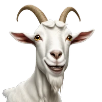 Tim Bouffard's profile picture