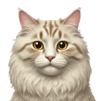 Kirill's profile picture