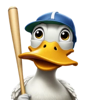 Pablo Schumacher's profile picture