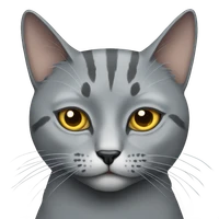 chloe-py's profile picture