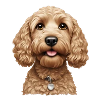 Dave's profile picture