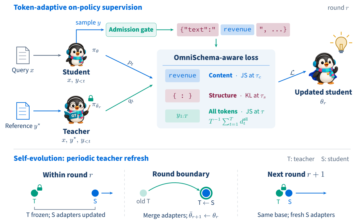 OmniSchema-Aware On-Policy Distillation